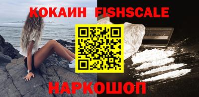 стафф Гатчина
