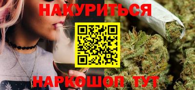 стафф Гатчина