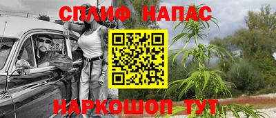 стафф Гатчина