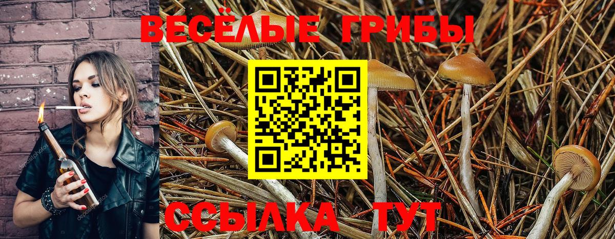 Галлюциногенные грибы MAGIC MUSHROOMS Ногинск