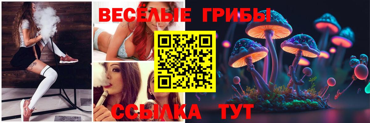Ногинск  Галлюциногенные грибы мицелий  купить закладку  Вход с VPN 