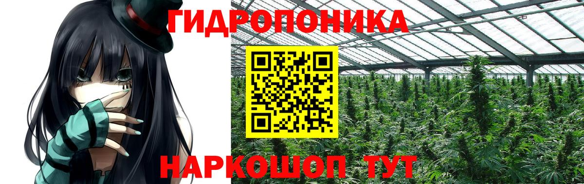 Шишки марихуана Bruce Banner Ногинск